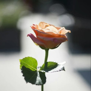 亚洲国产私拍精品国
